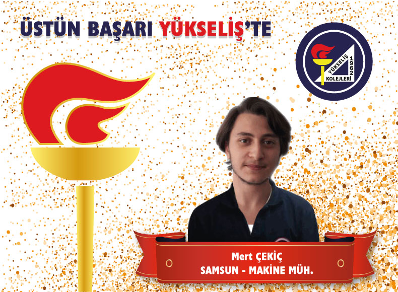 Mert CEKİC